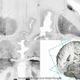 Illustration for article titled See the first ultra-high resolution, 3D scan of the ementire/em human brain